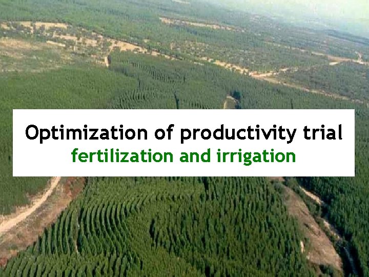 Optimization of productivity trial fertilization and irrigation 