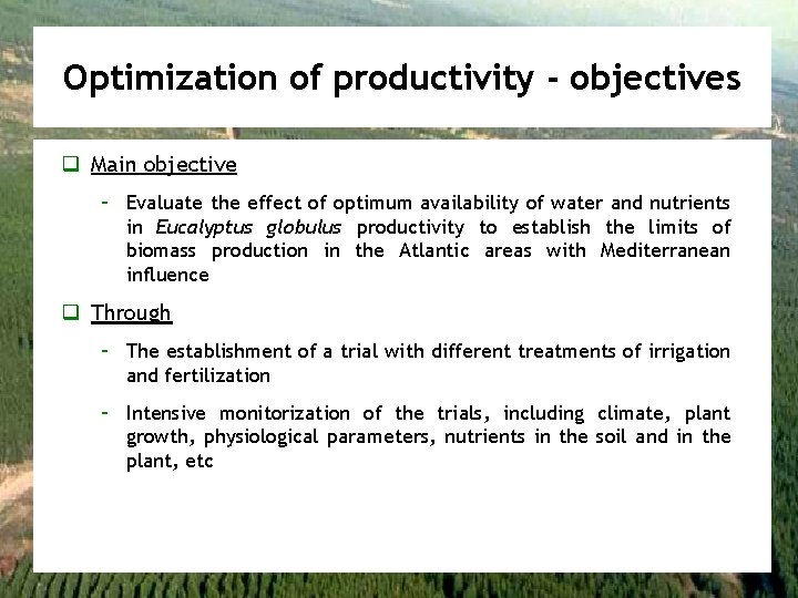 Optimization of productivity - objectives q Main objective – Evaluate the effect of optimum