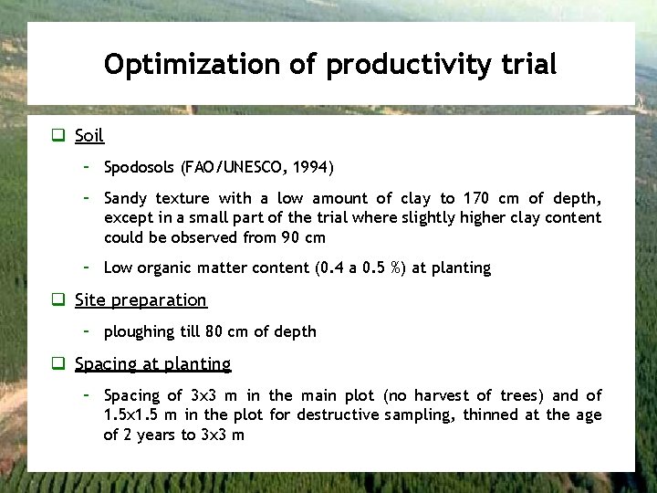 Optimization of productivity trial q Soil – Spodosols (FAO/UNESCO, 1994) – Sandy texture with