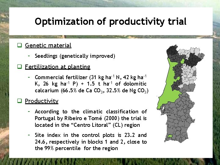 Optimization of productivity trial q Genetic material – Seedlings (genetically improved) q Fertilization at