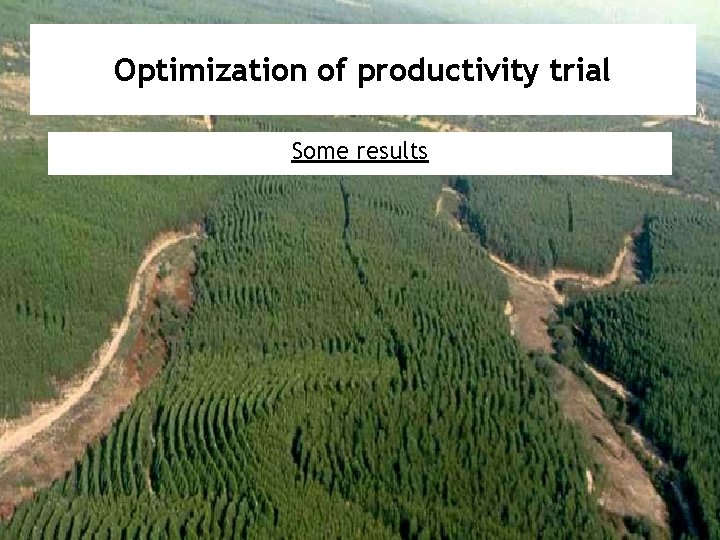 Optimization of productivity trial Some results 