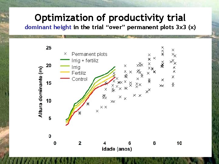 Optimization of productivity trial dominant height in the trial “over” permanent plots 3 x