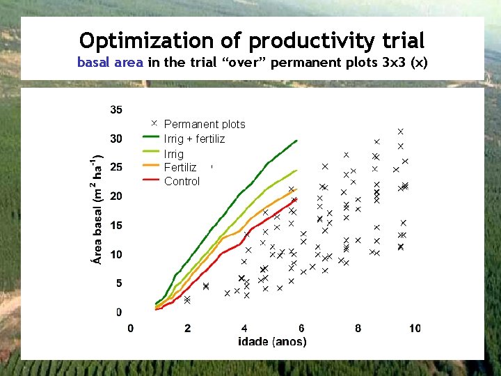 Optimization of productivity trial basal area in the trial “over” permanent plots 3 x