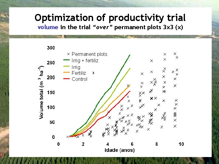 Optimization of productivity trial volume in the trial “over” permanent plots 3 x 3