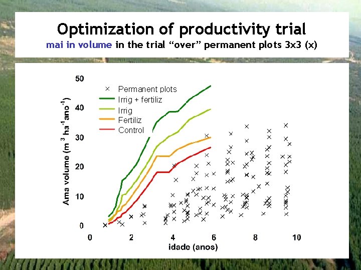 Optimization of productivity trial mai in volume in the trial “over” permanent plots 3