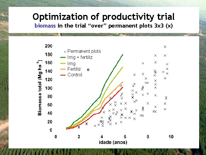 Optimization of productivity trial biomass in the trial “over” permanent plots 3 x 3