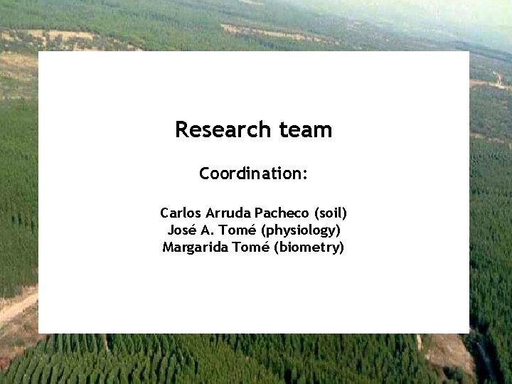 Research team Coordination: Carlos Arruda Pacheco (soil) José A. Tomé (physiology) Margarida Tomé (biometry)