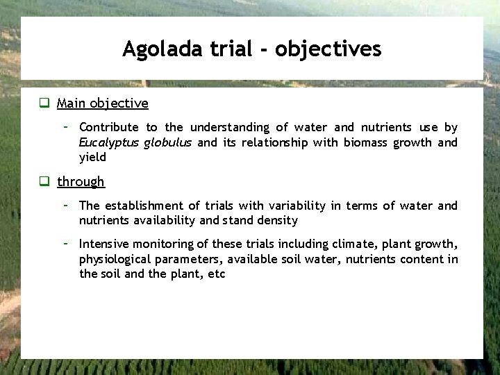 Agolada trial - objectives q Main objective – Contribute to the understanding of water