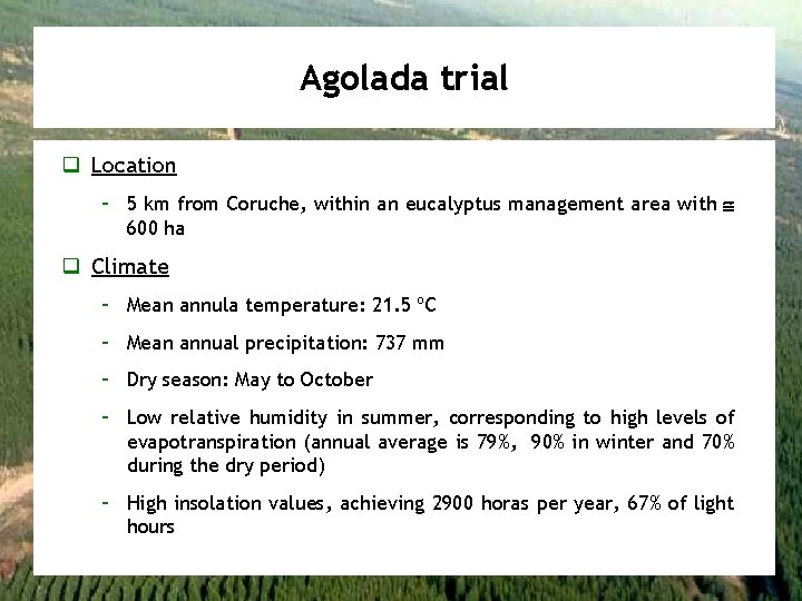 Agolada trial q Location – 5 km from Coruche, within an eucalyptus management area