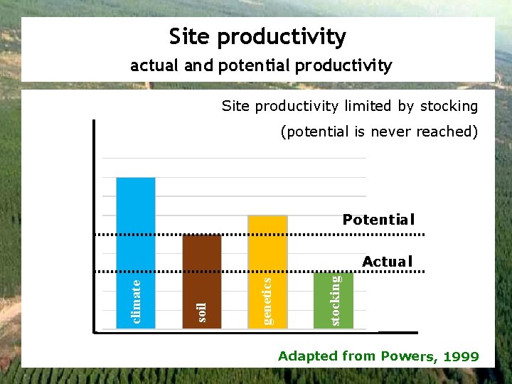 Site productivity actual and potential productivity Site productivity limited by stocking (potential is never