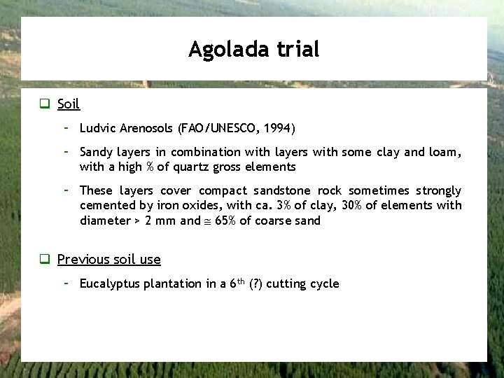 Agolada trial q Soil – Ludvic Arenosols (FAO/UNESCO, 1994) – Sandy layers in combination