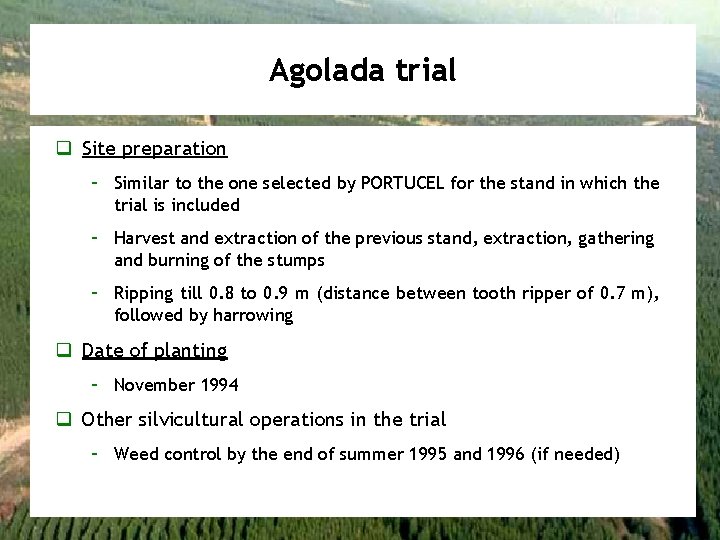 Agolada trial q Site preparation – Similar to the one selected by PORTUCEL for