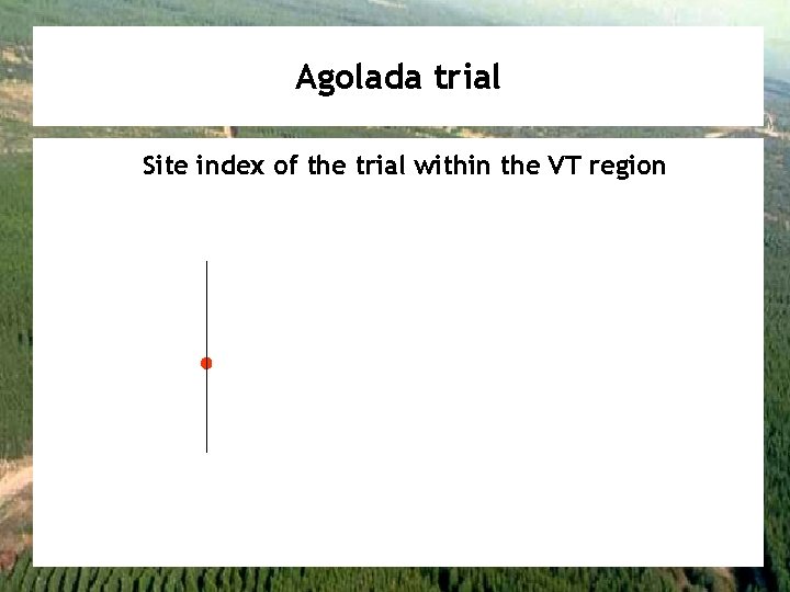 Agolada trial Site index of the trial within the VT region 