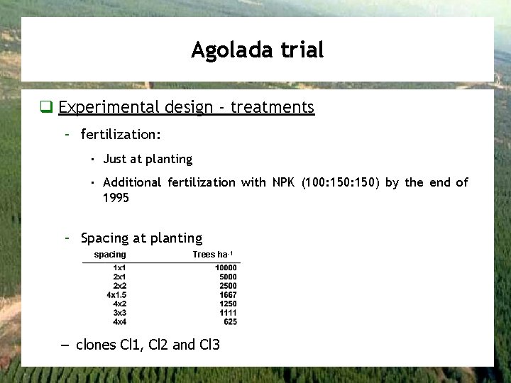 Agolada trial q Experimental design - treatments – fertilization: · Just at planting ·