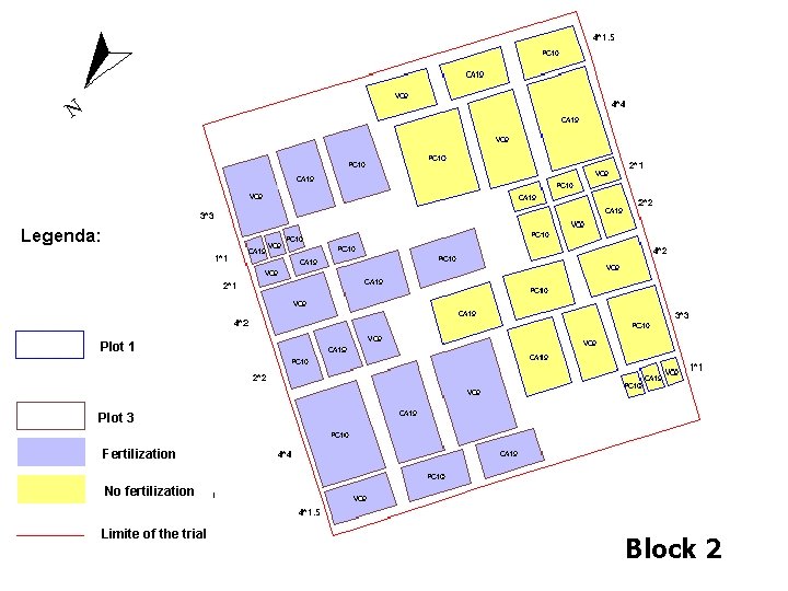 Plot 1 Plot 3 Fertilization No fertilization Limite of the trial Block 2 