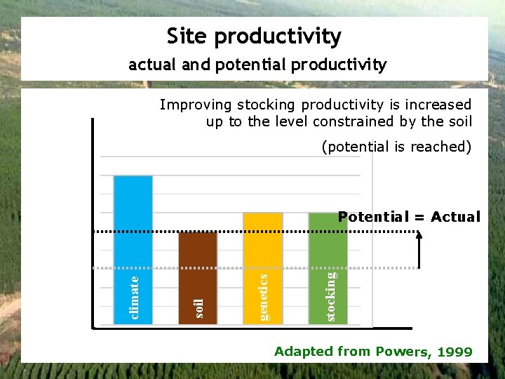 Site productivity actual and potential productivity Improving stocking productivity is increased up to the