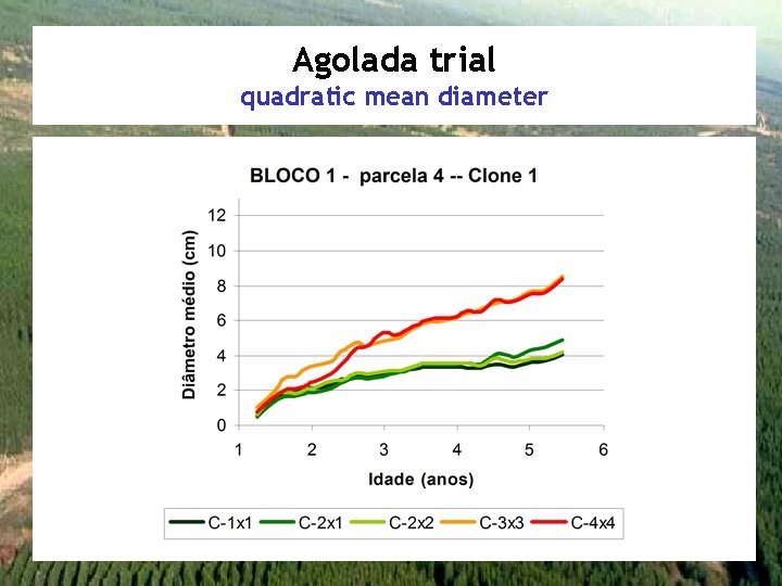 Agolada trial quadratic mean diameter 