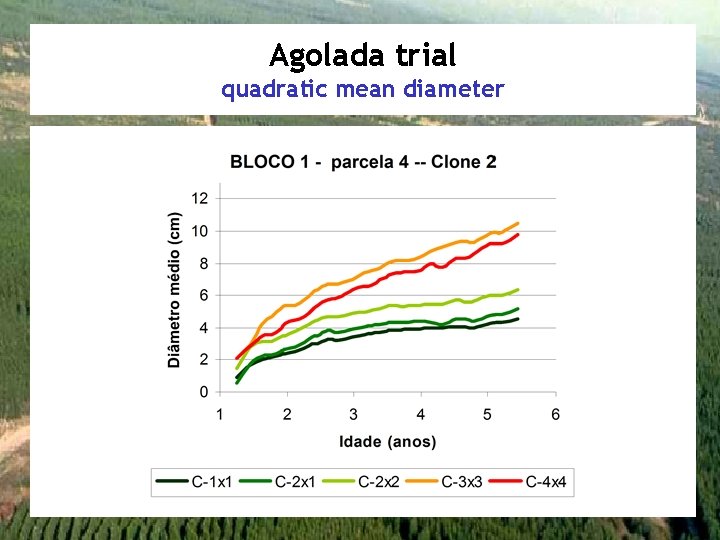 Agolada trial quadratic mean diameter 