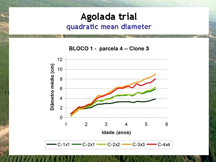 Agolada trial quadratic mean diameter 