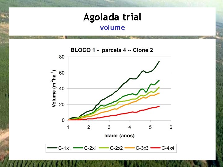 Agolada trial volume 