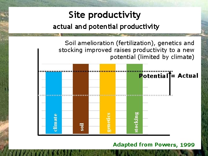 Site productivity actual and potential productivity Soil amelioration (fertilization), genetics and stocking improved raises