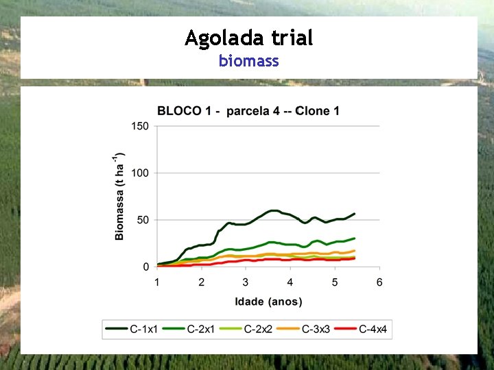 Agolada trial biomass 