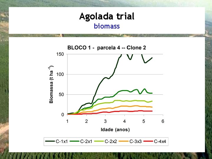 Agolada trial biomass 