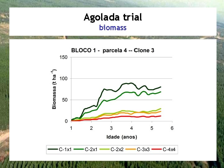 Agolada trial biomass 