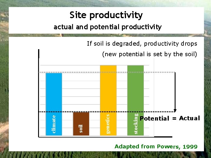 Site productivity actual and potential productivity If soil is degraded, productivity drops stocking genetics