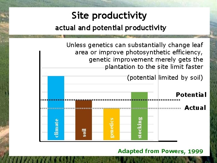 Site productivity actual and potential productivity Unless genetics can substantially change leaf area or