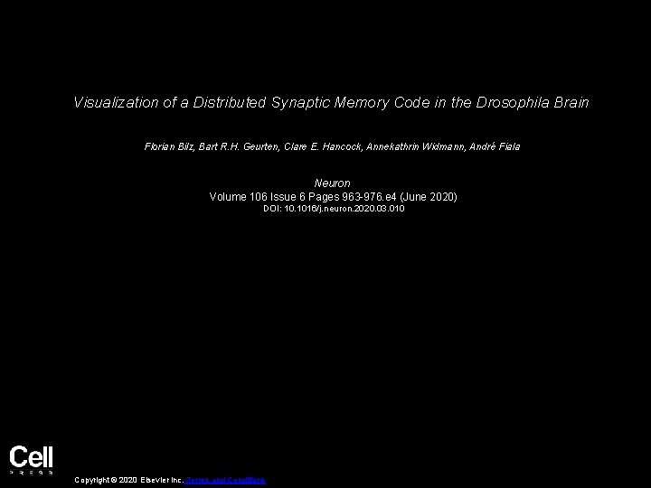 Visualization of a Distributed Synaptic Memory Code in