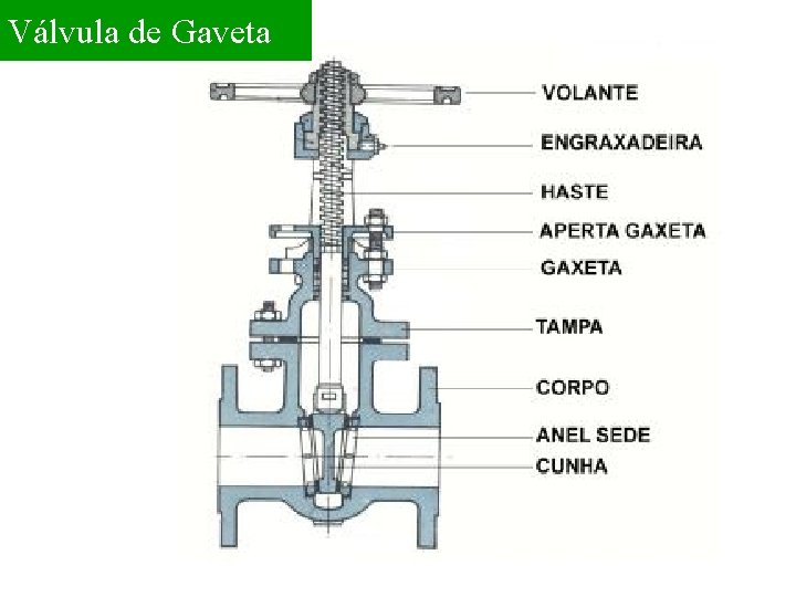 Válvula de Gaveta 