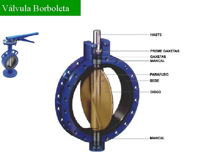 Válvula Borboleta 