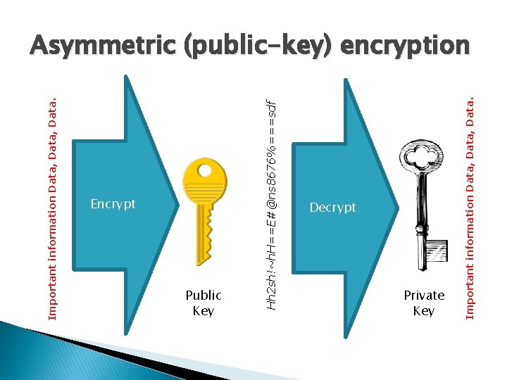 Important information Data, Data. Encrypt Public Key Hh 2 sh!~h. H==E#@ns 8676%===sdf Decrypt Private