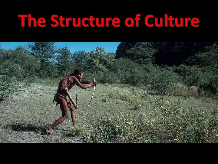 The Structure of Culture 