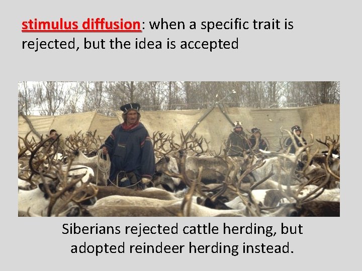 stimulus diffusion: diffusion when a specific trait is rejected, but the idea is accepted