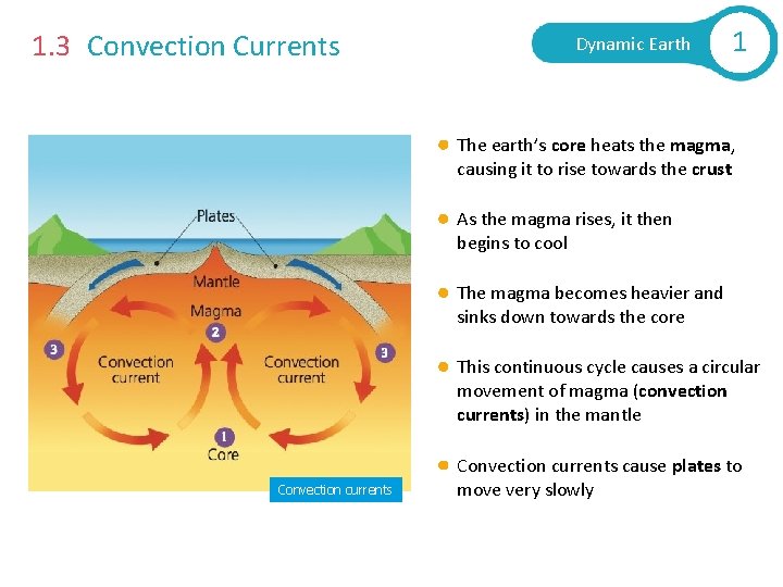 1. 3 Convection Currents Dynamic Earth 1 The earth’s core heats the magma, causing