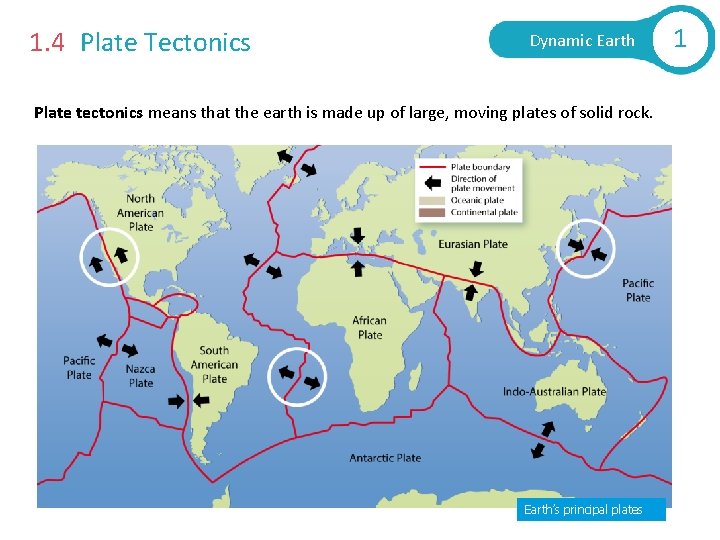 1. 4 Plate Tectonics Dynamic Earth Plate tectonics means that the earth is made