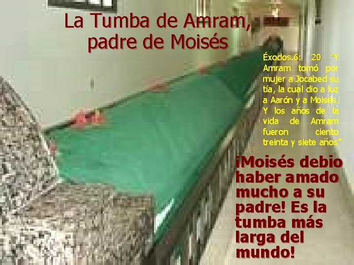 La Tumba de Amram, padre de Moisés Éxodos. 6: 20 “Y Amram tomó por