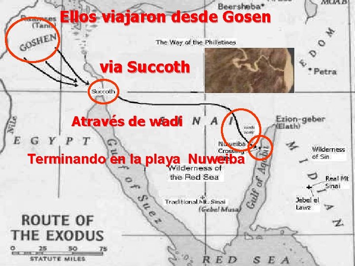 Ellos viajaron desde Gosen via Succoth Através de wadi Terminando en la playa Nuweiba