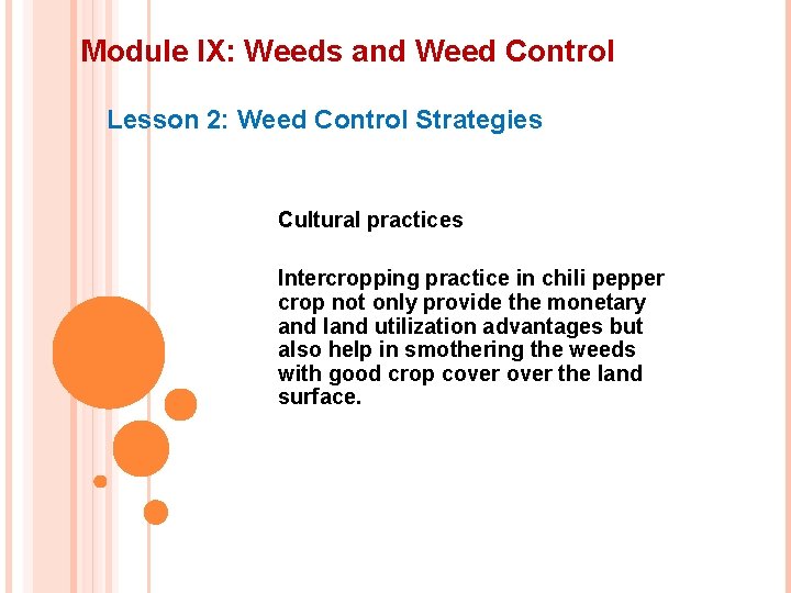 Module IX: Weeds and Weed Control Lesson 2: Weed Control Strategies Cultural practices Intercropping