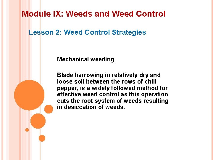 Module IX: Weeds and Weed Control Lesson 2: Weed Control Strategies Mechanical weeding Blade