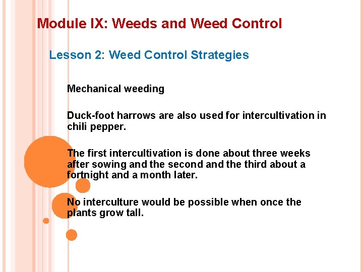 Module IX: Weeds and Weed Control Lesson 2: Weed Control Strategies Mechanical weeding Duck-foot