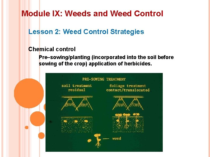 Module IX: Weeds and Weed Control Lesson 2: Weed Control Strategies Chemical control Pre–sowing/planting