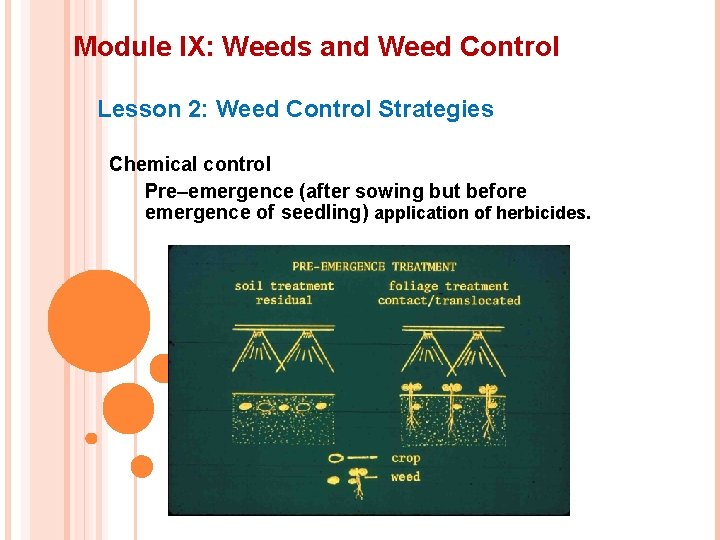 Module IX: Weeds and Weed Control Lesson 2: Weed Control Strategies Chemical control Pre–emergence