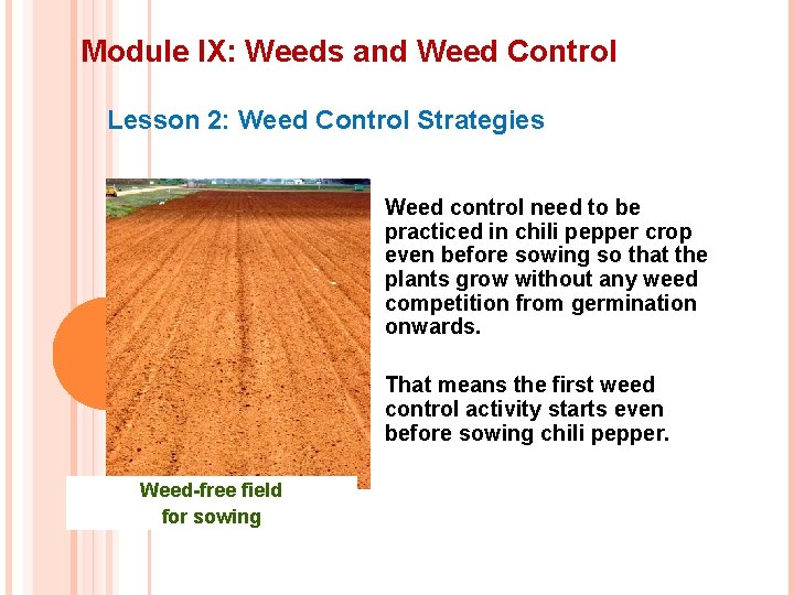 Module IX: Weeds and Weed Control Lesson 2: Weed Control Strategies Weed control need