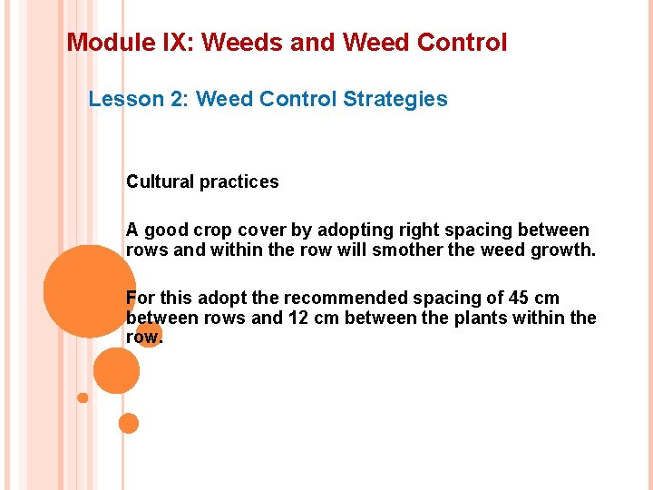 Module IX: Weeds and Weed Control Lesson 2: Weed Control Strategies Cultural practices A