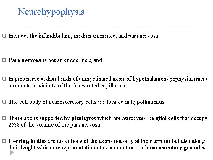 Neurohypophysis q Includes the infundibulum, median eminence, and pars nervosa q Pars nervosa is