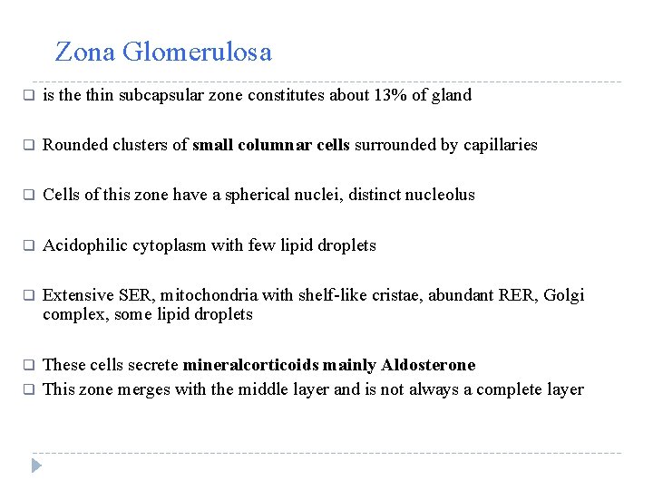 Zona Glomerulosa q is the thin subcapsular zone constitutes about 13% of gland q