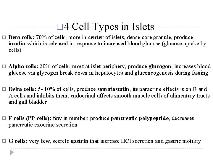 q 4 Cell Types in Islets q Beta cells: 70% of cells, more in